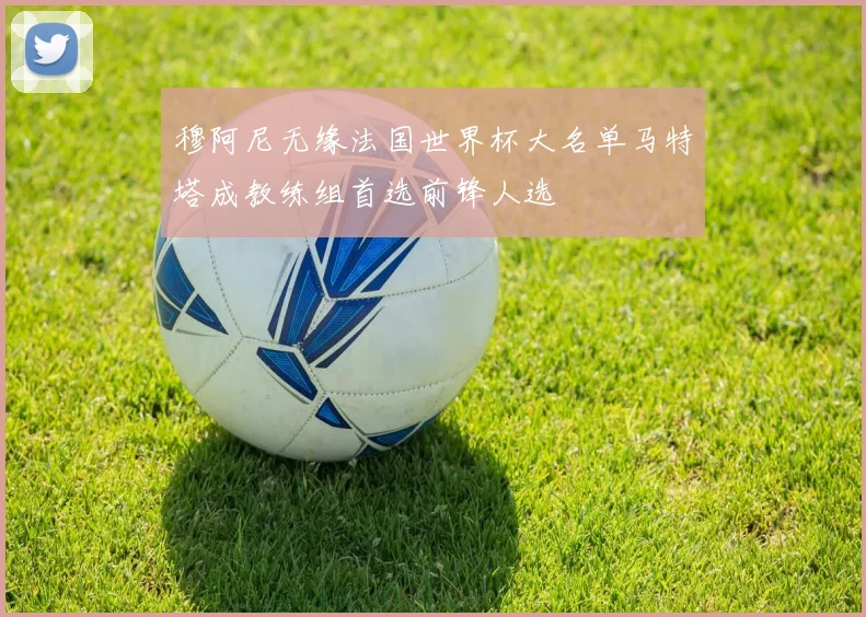穆阿尼无缘法国世界杯大名单马特塔成教练组首选前锋人选